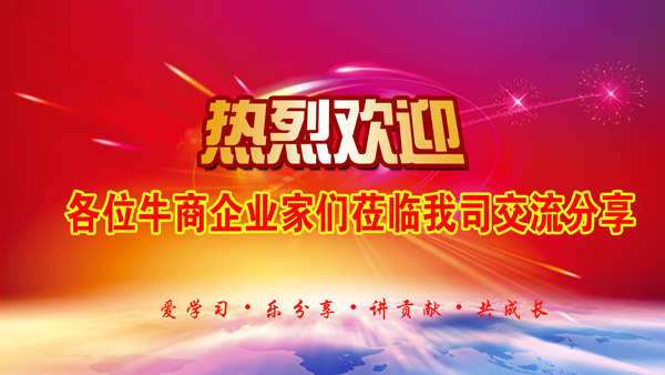 六安電商沙龍會(huì)議.jpg