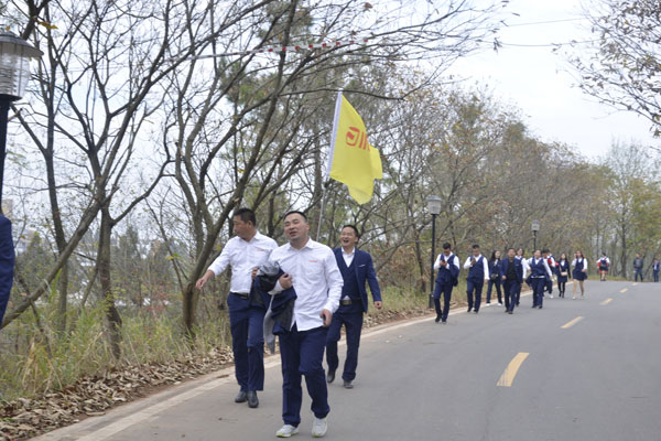 陽光行、快樂游